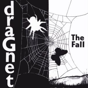 Spectre Vs. Rector - ​The Fall