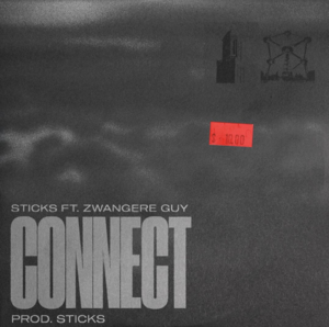 Connect - Sticks (NLD) (Ft. Zwangere Guy)