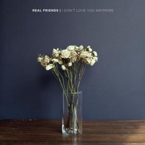 I Don’t Love You Anymore - Real Friends