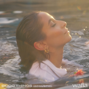 Good Things (Acoustic) - Wafia