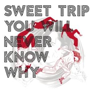 Things to Ponder While Falling - Sweet Trip