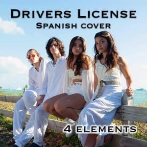 Drivers License (Spanish Cover) - 4 Elements