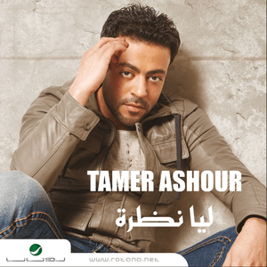 Mafehoush Ghalta - مفيهوش غلطة - Tamer Ashour - تامر عاشور