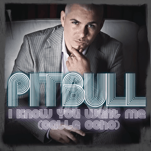 I Know You Want Me (Calle Ocho) [More English Extended Edit] - Pitbull