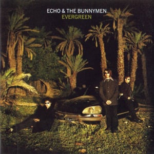 Evergreen - Echo & the Bunnymen