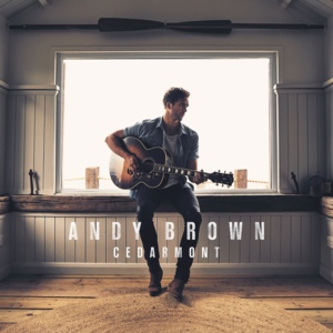 Breaking Your Heart - Andy Brown