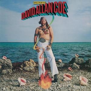 On My Feet Again - David Allan Coe