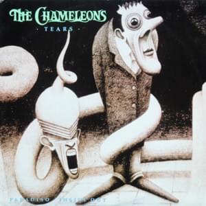 Tears (Single Version) - The Chameleons