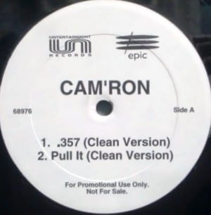 Pull It - Cam'ron (Ft. DMX)