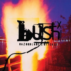 History - Bush