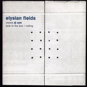 Rolling (DJ Cam Remix) - Elysian Fields