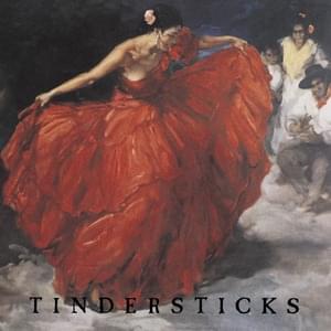 The Not Knowing - Tindersticks