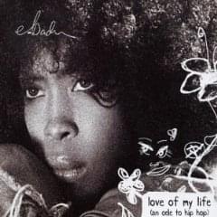 Love of My Life (An Ode to Hip Hop) - Erykah Badu (Ft. Common)