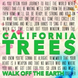 California Trees - Walk off the Earth