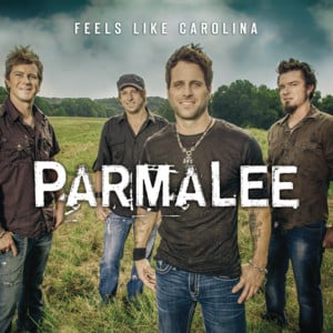 I’ll Bring the Music - Parmalee