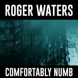 Comfortably Numb 2022 - Roger Waters