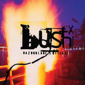 Communicator - Bush