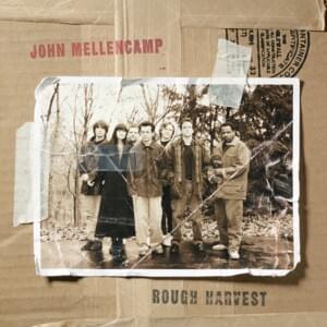 Wild Night (Live) - John Mellencamp