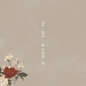 In My Blood - Shawn Mendes