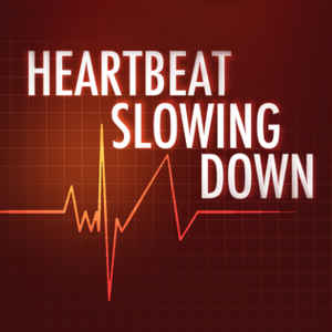 Heartbeat Slowing Down - The All-American Rejects