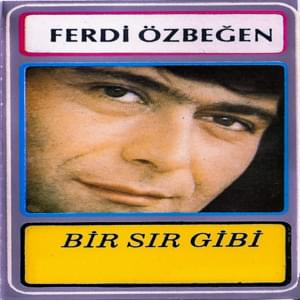 Seni Terkedeceğim - Ferdi Özbeğen