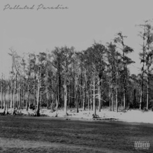 Polluted Paradise - Chetta (Ft. $uicideboy$)