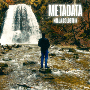 Metadata - Kolja Goldstein