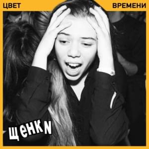 Вечеринка (Party) - Щенки (Schenki)