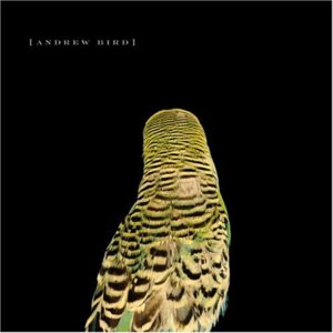 Cataracts - Andrew Bird