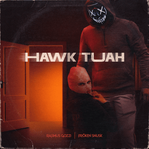 HAWK TUAH - Rasmus Gozzi (Ft. FRÖKEN SNUSK)