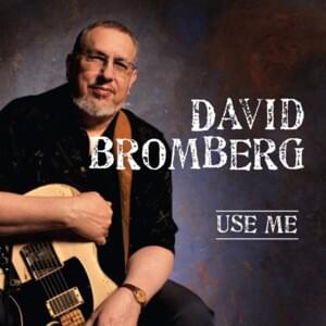 It’s Just A Matter Of Time - David Bromberg