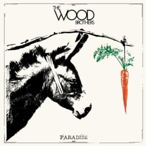 Raindrop - The Wood Brothers