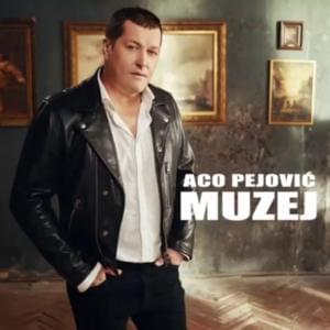 Muzej - Aco Pejović