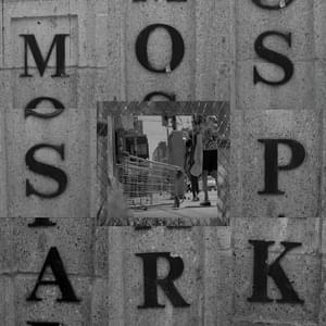 Moss Park - Rare Americans