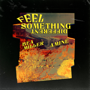 FEEL SOMETHING DIFFERENT - Bea Miller & Aminé