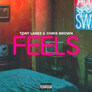 F.E.E.LS. - Tory Lanez (Ft. Chris Brown)