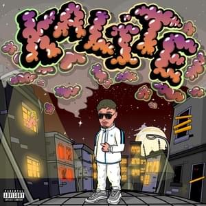 Kalite - Organize