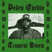 Tropical Storm - Pedro Cardin