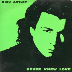 Never Knew Love - Rick Astley