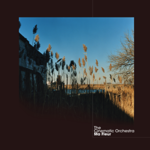 Music Box - The Cinematic Orchestra (Ft. Lou Rhodes & Patrick Watson)