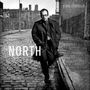 Someone Took the Words Away - Elvis Costello