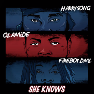 She Knows - Harrysong (Ft. Fireboy DML & Olamide)