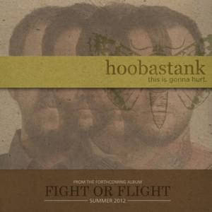 This Is Gonna Hurt - Hoobastank