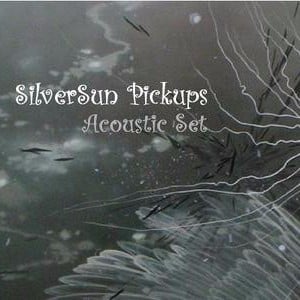 Future Foe Scenarios (Acoustic) - Silversun Pickups