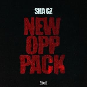 New Opp (Slowed Down) - Sha Gz