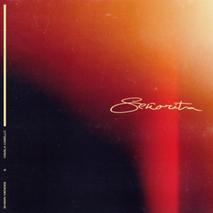 Shawn Mendes & Camila Cabello - Señorita (Bản dịch tiếng Việt) - Lyrxo Bản dịch tiếng Việt