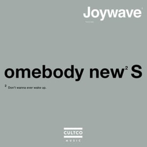 Somebody New - Joywave