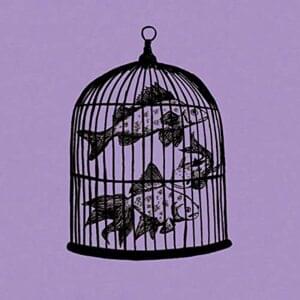 Rule #16 - Movies - Fish in a Birdcage (Ft. Kristina Helene)