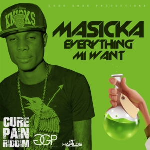 Everything Mi Want - Masicka