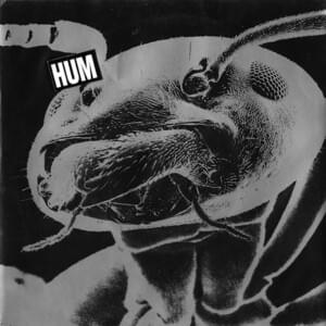 Time is Melting - Hum